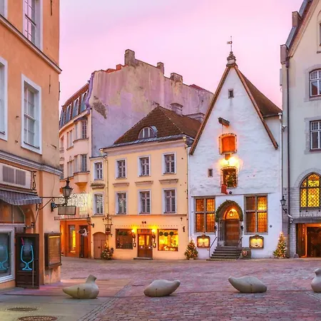 Perfect Modern In The Heart Of Tallinn